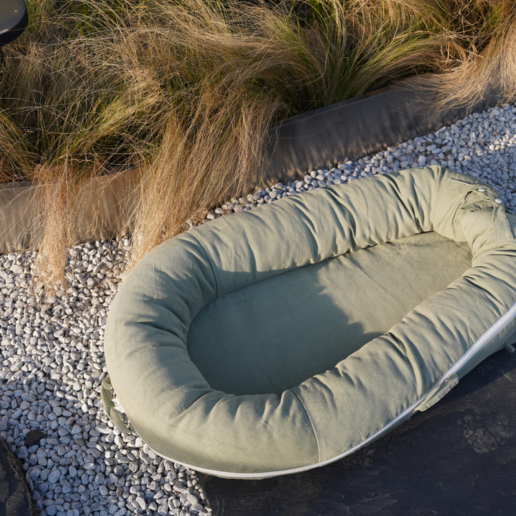 CooCooBaby Deluxe Baby Lounger - Cotton-Forest