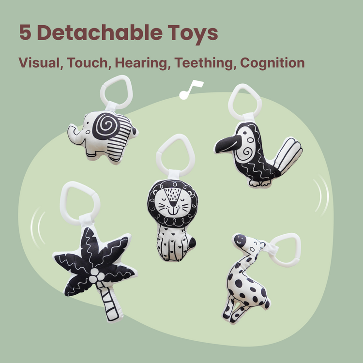 CooCooBaby Deluxe Infant Lounger&Toys Set (SageGreen)