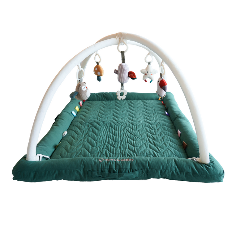 Play Gym with 5 Sensory Toys, Thick & Plush Playmat for Floor, Tummy Time Mat (SageGreen,Color Toys)