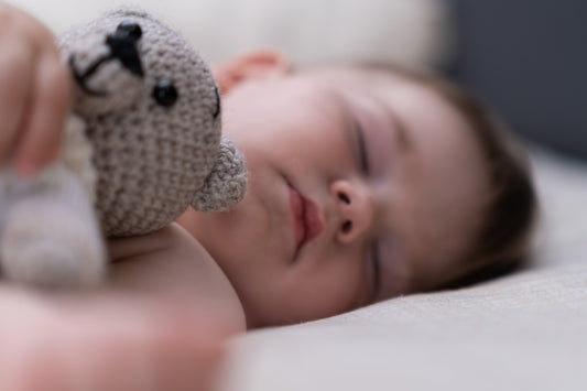 Deluxe Baby Lounger